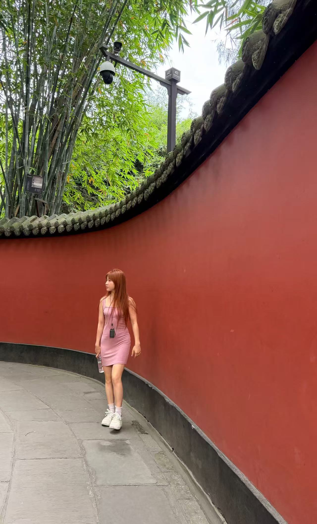皮皮万日常